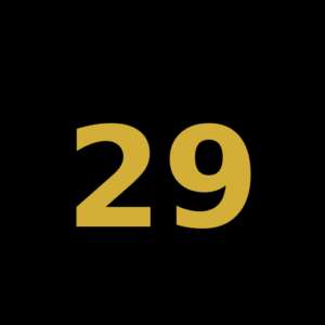 Número 29